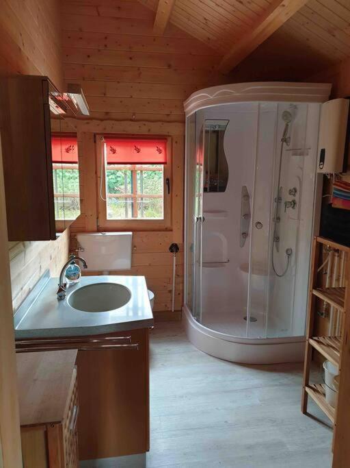 Ludwigswinkel Haus Elsbeereヴィラ エクステリア 写真