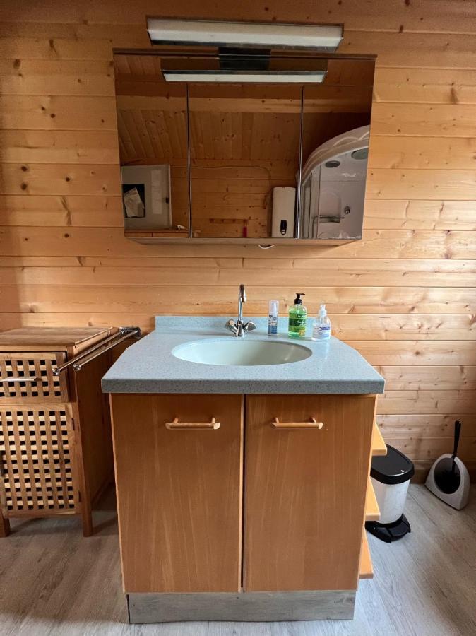 Ludwigswinkel Haus Elsbeereヴィラ エクステリア 写真